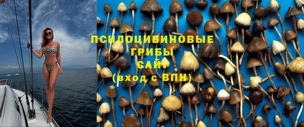 стаф Богородск
