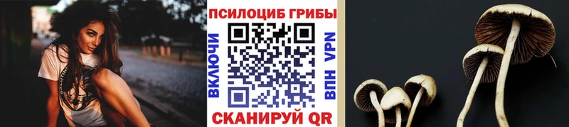 Псилоцибиновые грибы GOLDEN TEACHER darknet какой сайт Барыш