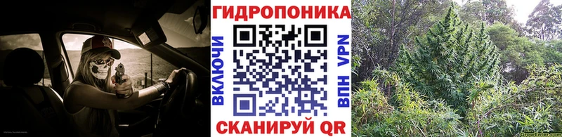 Бошки Шишки Ganja  Барыш 